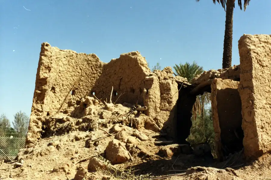 جدران طينية متهدمة تحت سماء زرقاء وخلفها نخلة