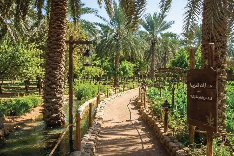 تصور مستقبلي: درب بين النخيل والمزروعات بجانب ساقية، ولوحة مسارات المزرعة