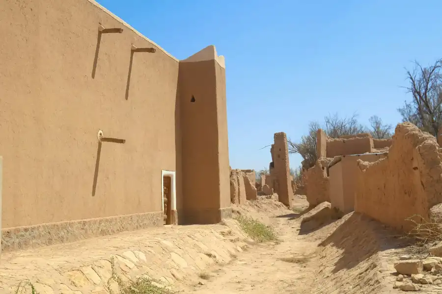 جدار طيني مرمم بمزاريب خشبية وباب منقوش، وعلى الجانب الآخر من الزقاق بيوت متهدمة