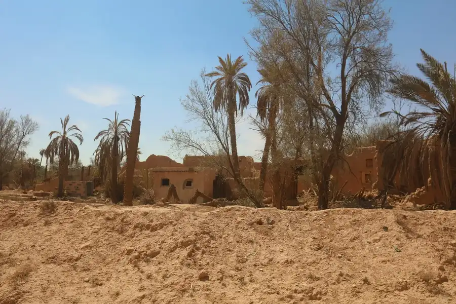 بيوت طينية متهدمة بين النخيل وأشجار الأثل