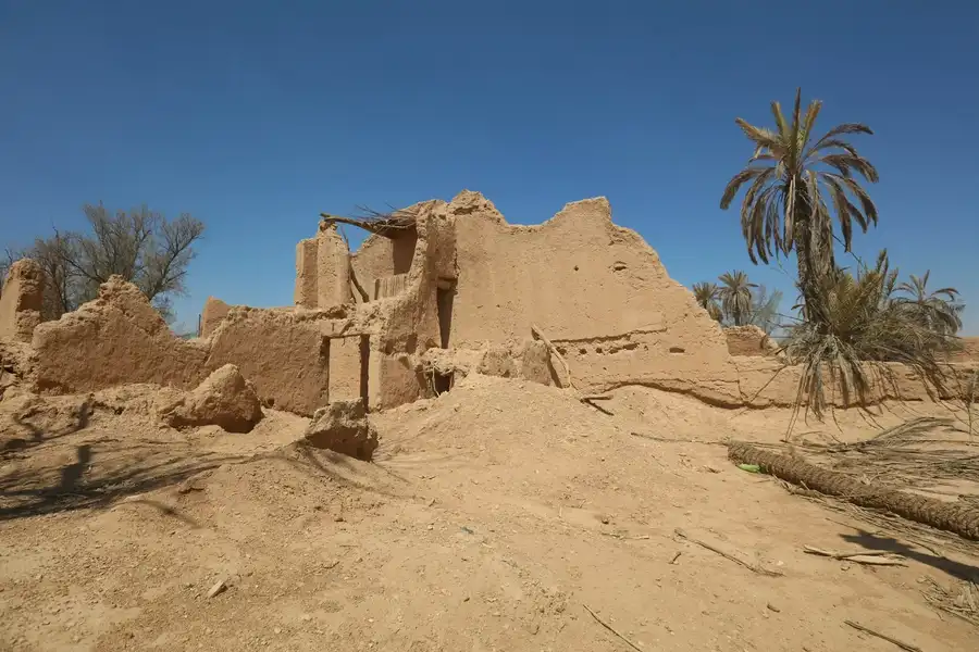 بيت طيني متهدم ببقايا سقف من الجريد بجوار نخلة